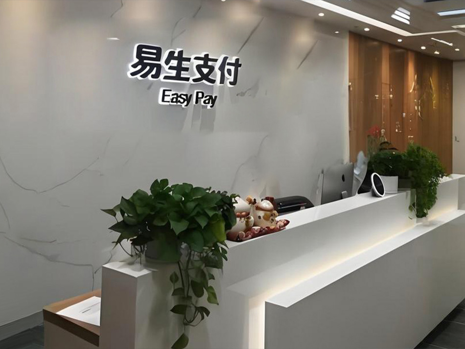 易生支付有限公司简介